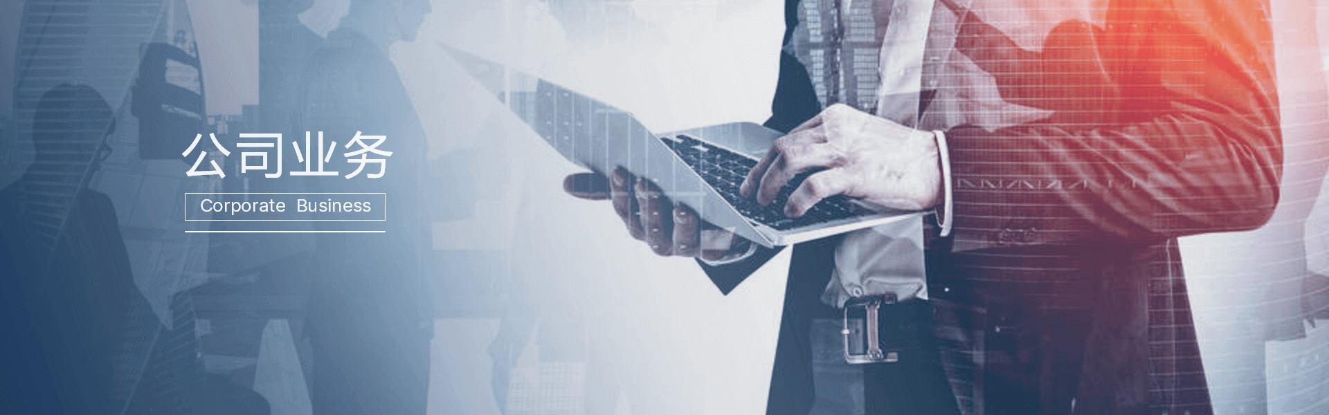 公司业务